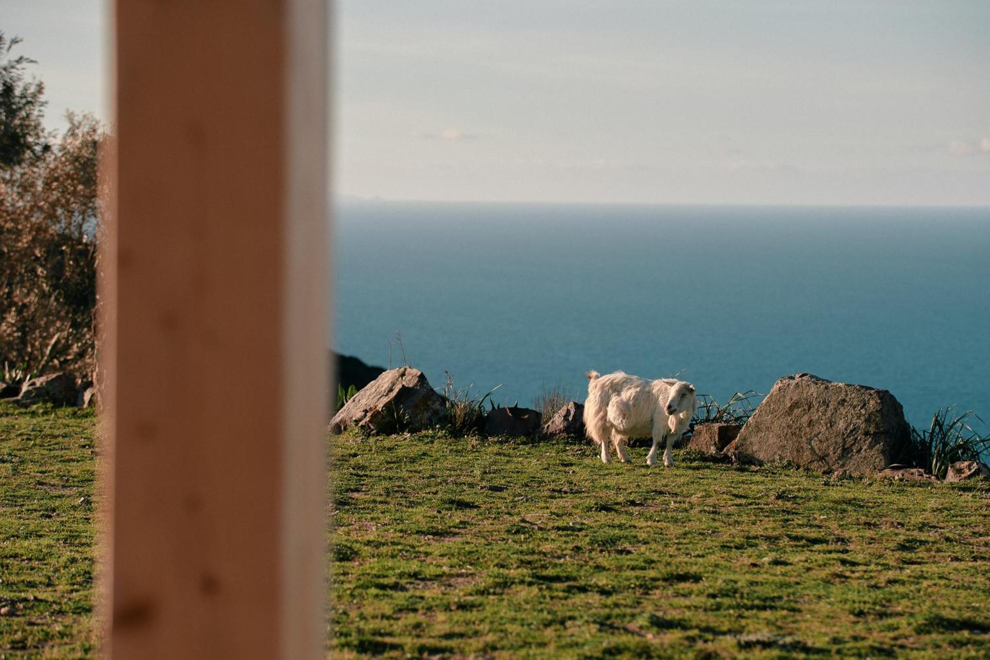 New Suites Sea View Sardinia, Кастельсардо Екстер'єр фото